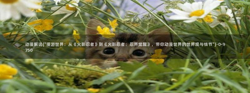 阅文动漫
