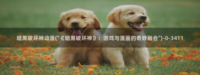 动漫内衣办公室
