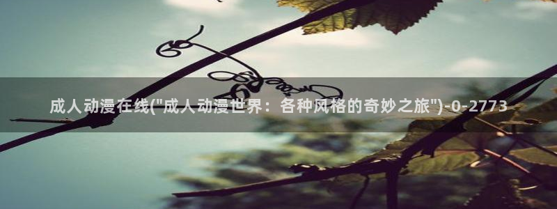 动漫解说